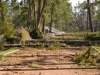 Stadium-Katrina2-1024x684