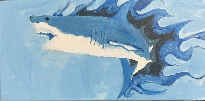 A painted shark swims left with blue-black flame-like shapes, echoing the spirited energy of St. Paul’s School on the Northshore.
